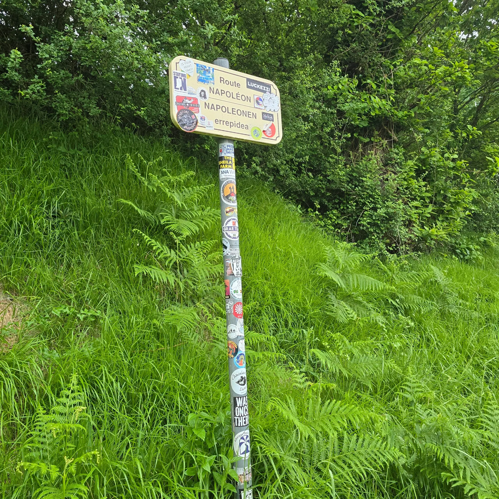 Billede fra pilgrimsvandringen på Caminoen, 5