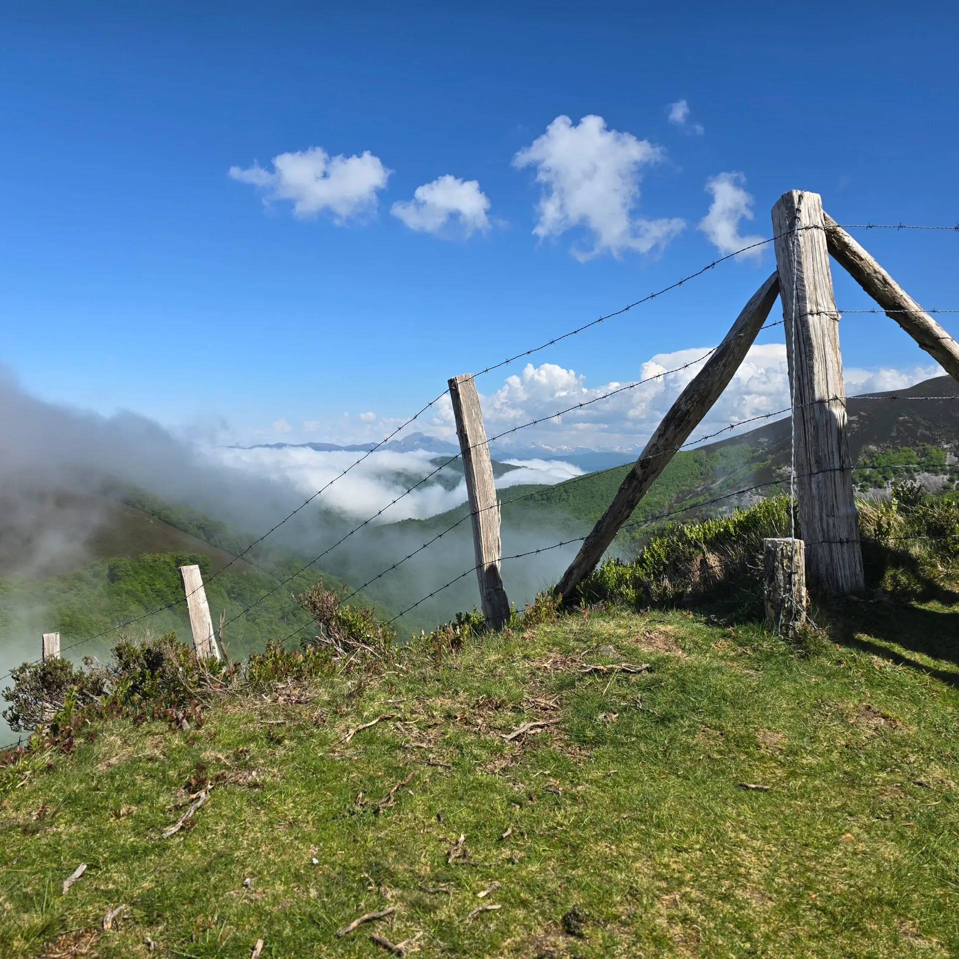 Billede fra pilgrimsvandringen på Caminoen, 7