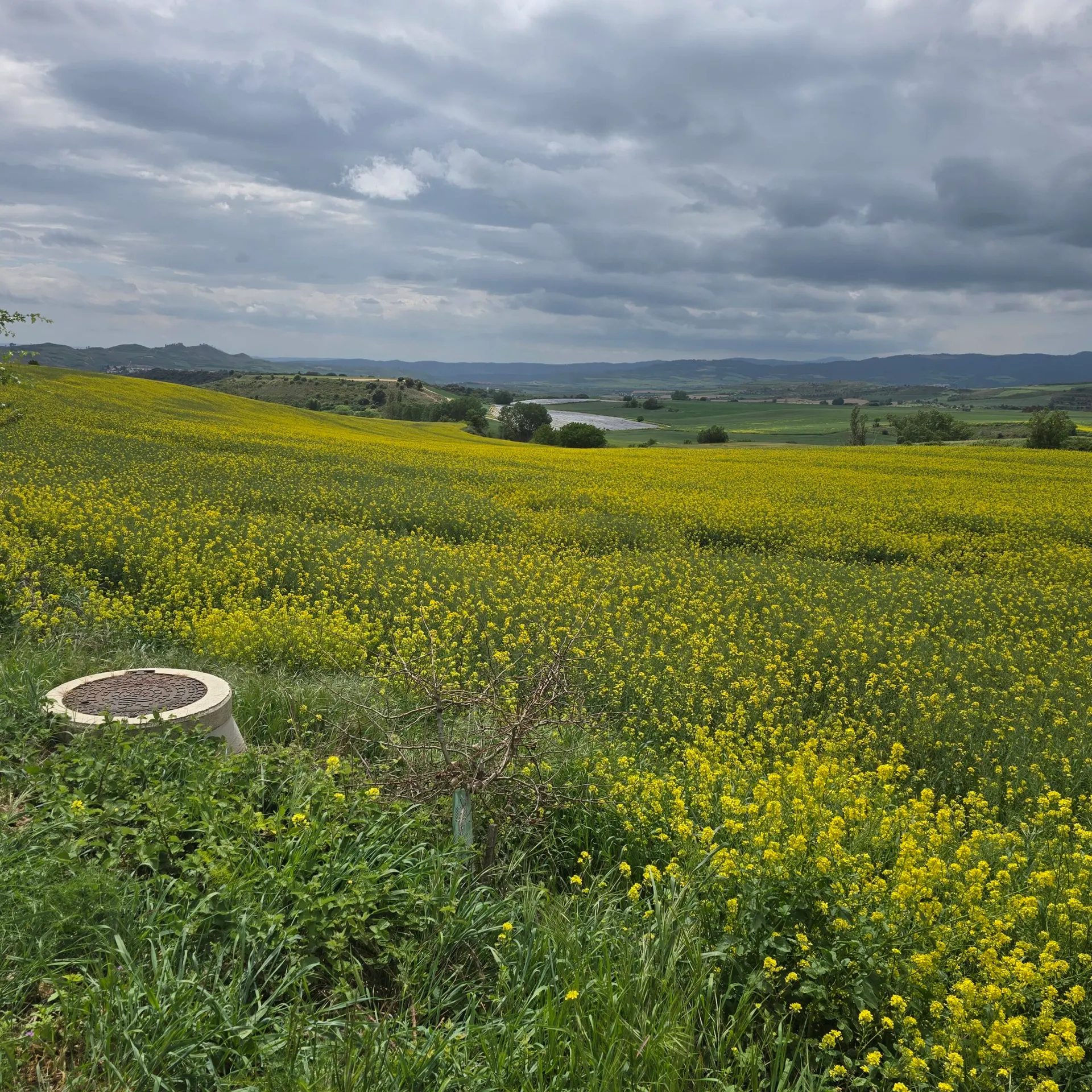 Billede fra pilgrimsvandringen på Caminoen, 18