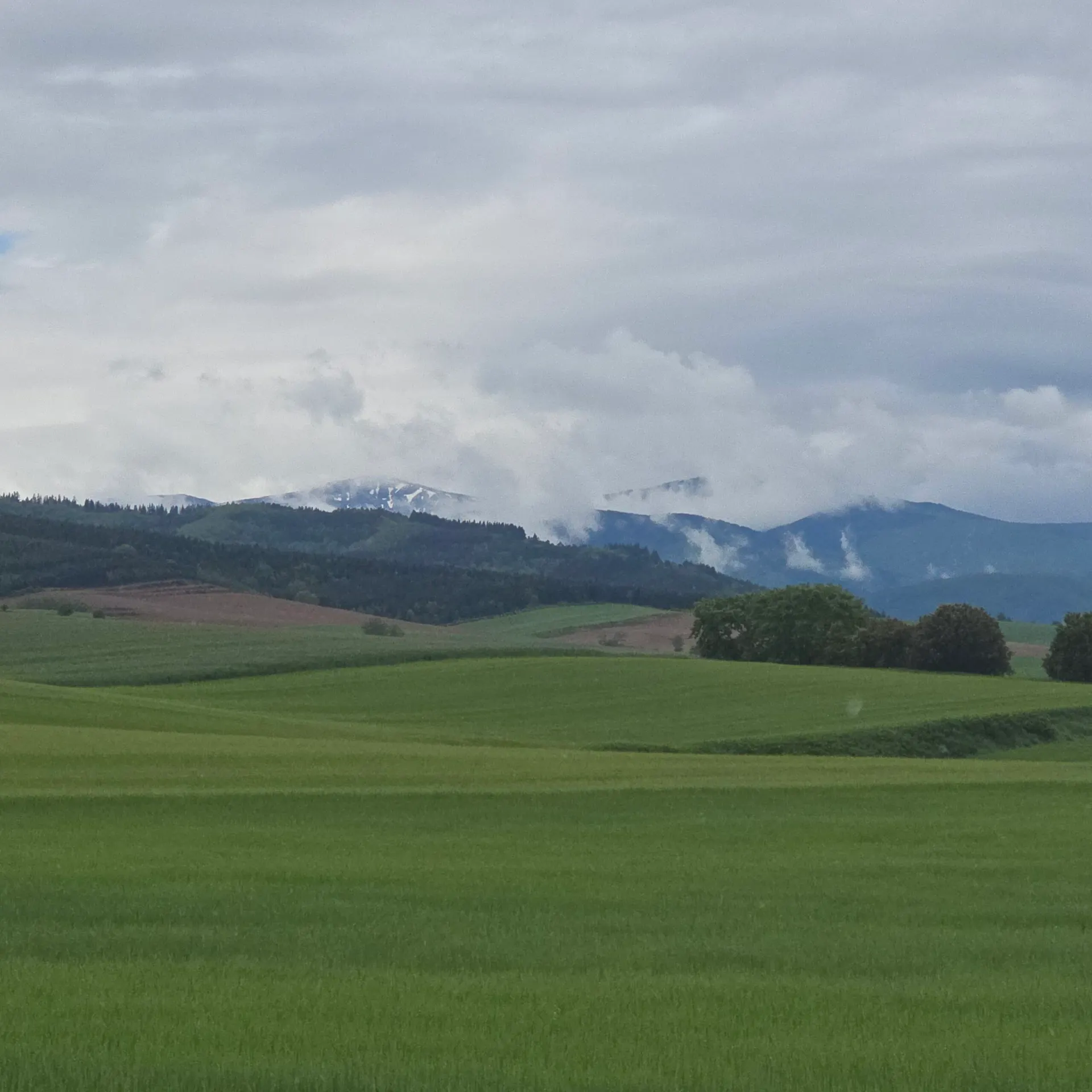 Billede fra pilgrimsvandringen på Caminoen, 35