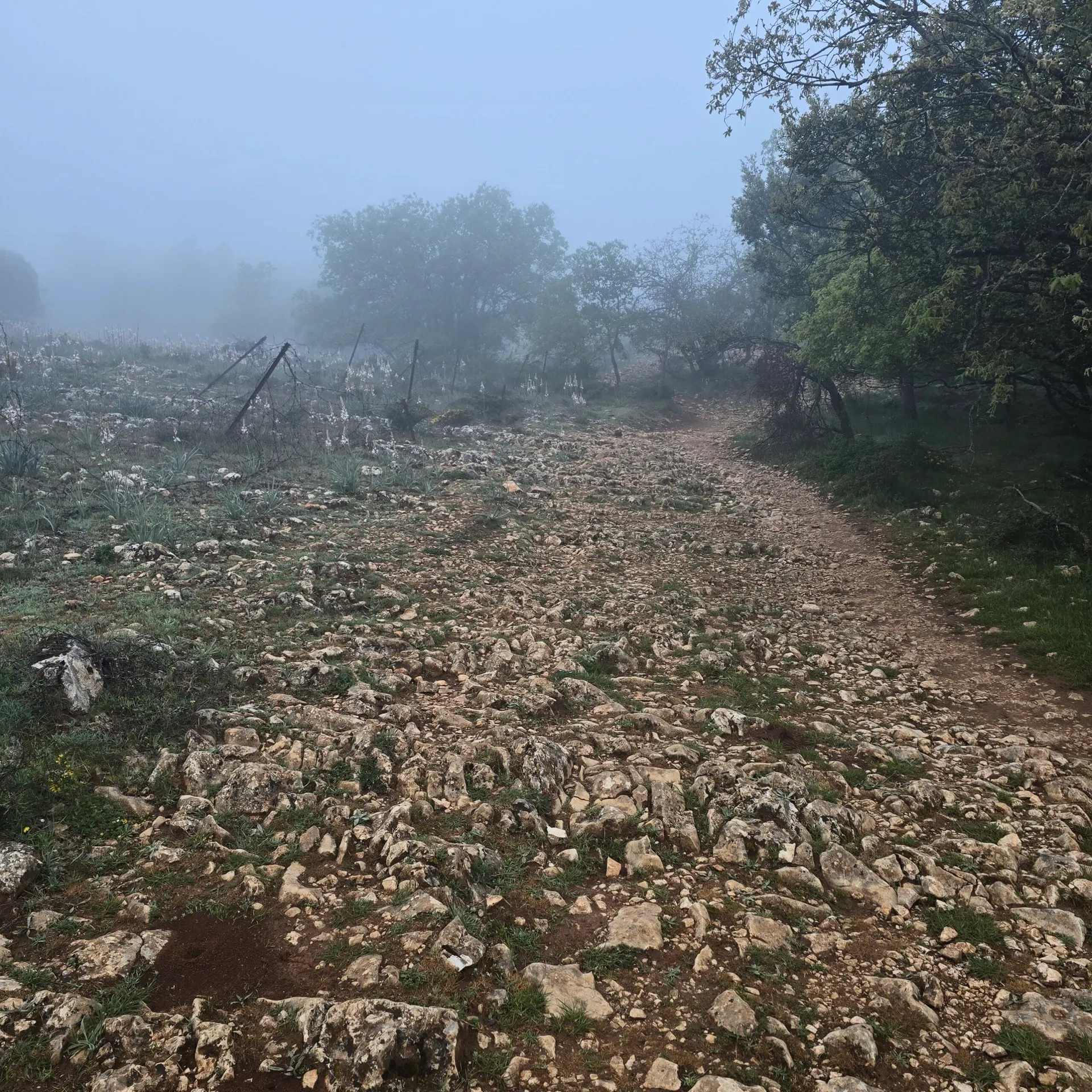 Billede fra pilgrimsvandringen på Caminoen, 47